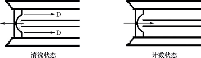 1524444243037010524.jpg