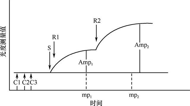 图１６￣２７　免疫比浊技术的光度计测定位点示意.jpg