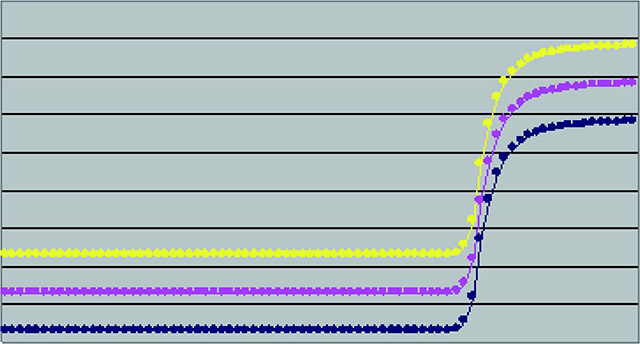图１６￣３４　ＩＭＭＡＧＥ８００-动态空白对照.jpg