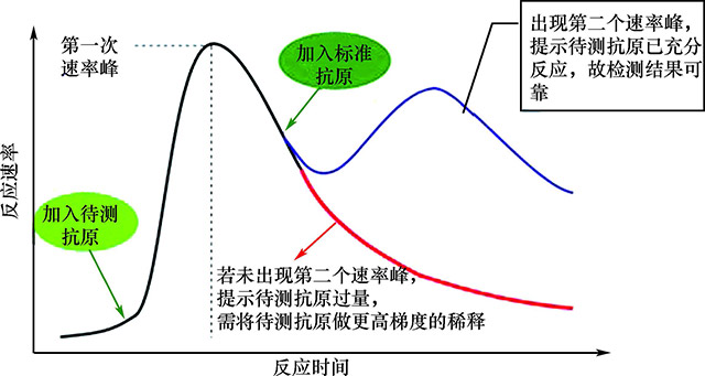 图１６￣３３　ＩＭＭＡＧＥ -８００-抗原过量测定.jpg