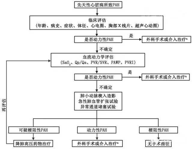 图2.webp.jpg