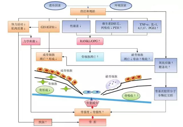 图1.webp.jpg