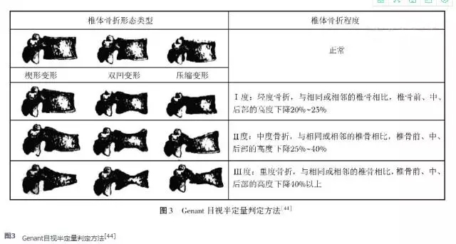 图3.webp.jpg