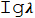 Ig.png