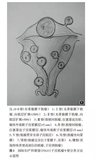 14图1.webp.jpg