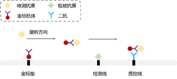 竞争法原理图.jpg