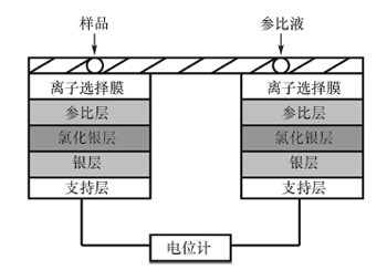 离子干片模式图.jpg