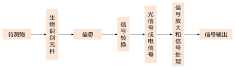 生物传感器的传感原理.jpg