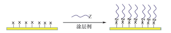 共价吸附策略.jpg