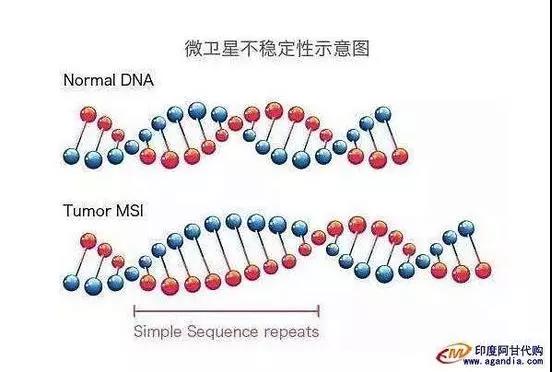 微信图片_20181025140420.jpg