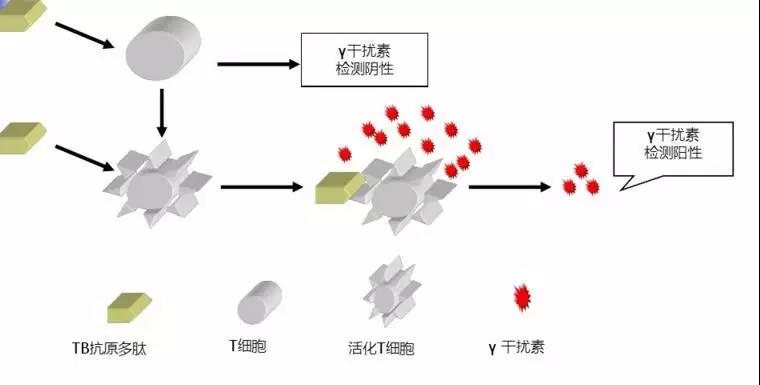 微信图片_20181025140734.jpg