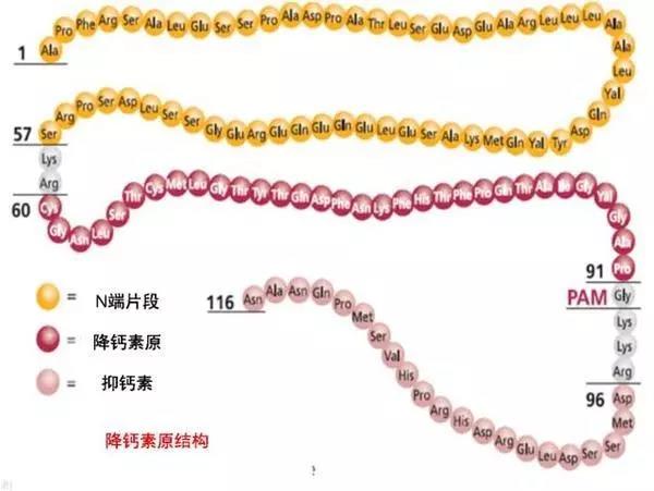 微信图片_20181101133147.jpg