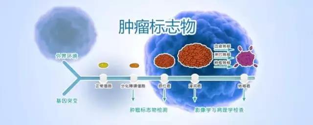 微信图片_20181214094707.jpg