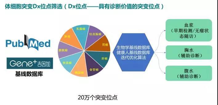 微信图片_20181214105705.jpg