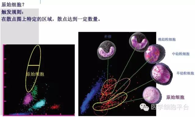 微信图片_20181221091423.jpg