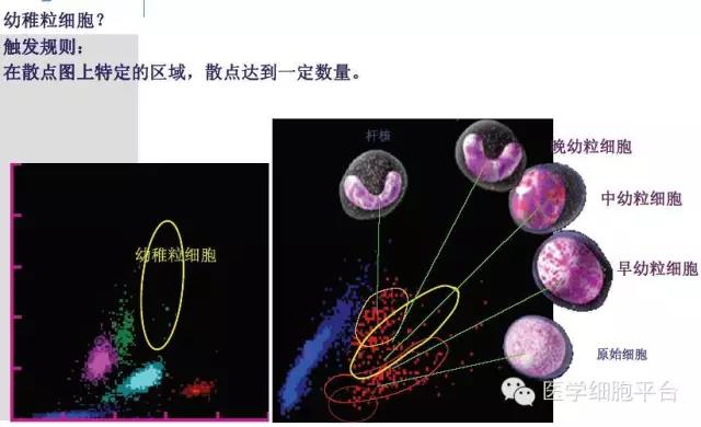微信图片_20181221091426.jpg