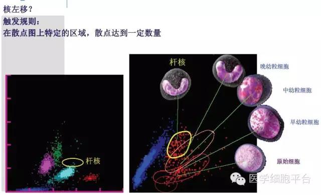 微信图片_20181221091429.jpg