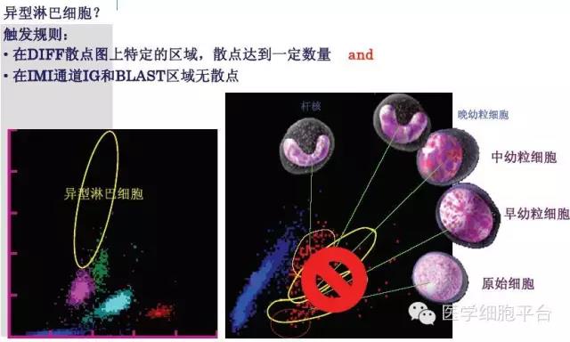 微信图片_20181221091432.jpg