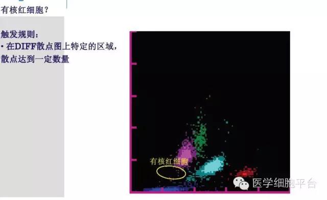 微信图片_20181221091435.jpg
