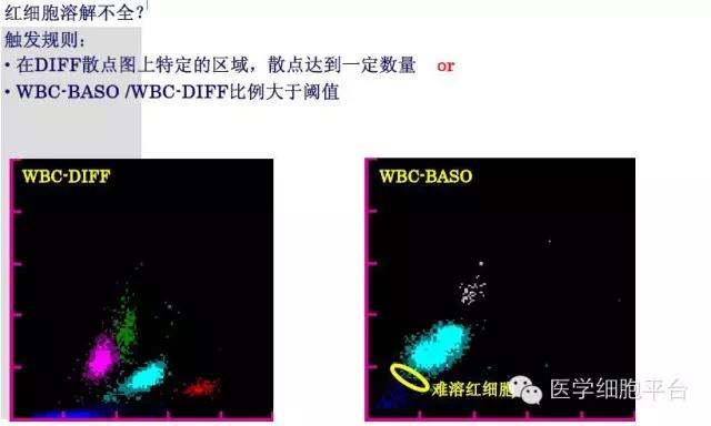 微信图片_20181221091438.jpg