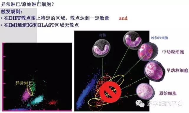 微信图片_20181221091440.jpg
